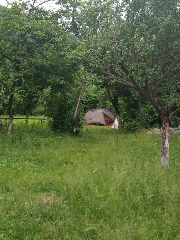 Гостевой дом Guest House STAR Lagodekhi Лагодехи-58